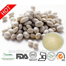 Großhandel liefern hohe Qualität weiße Kidney-Bohnen-Extrakt Pulver 10: 1 Phaseolin1%